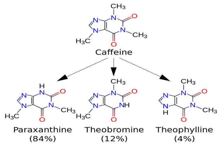 are there any active substances in coffee other than caffeine?