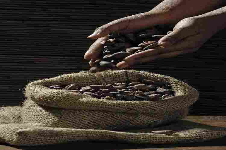 where do I find whole coffee robusta beans in America?